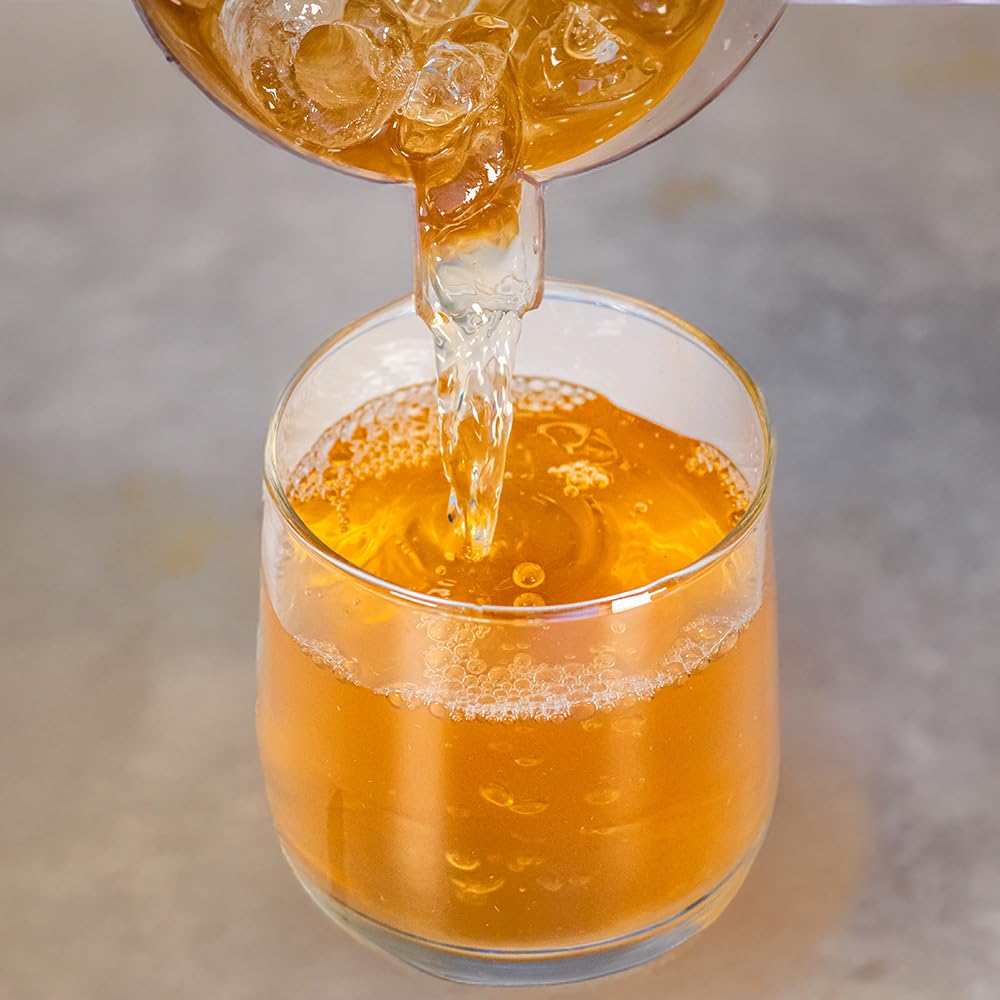 Green Mango Iced Tea Foodservice 48 Brew Bags